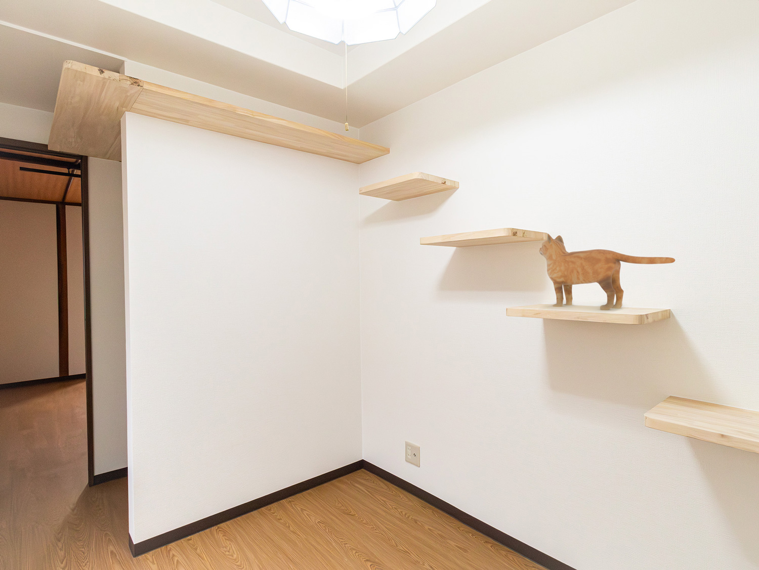 人と猫がいっしょに暮らすための工夫 猫専用ハウス